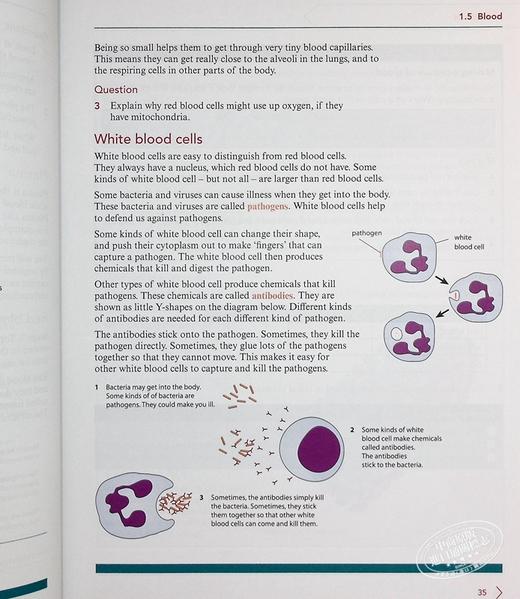 【中商原版】NEW Cambridge Lower Secondary Science Learner's Book 8剑桥初中科学学生书八年级初二 商品图7