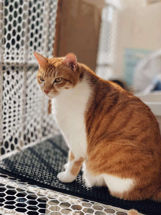 会员折扣商品 商品图0