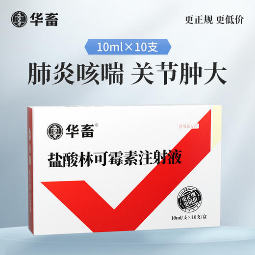 华畜兽用 10%盐酸林可霉素主射液10支 商品图1