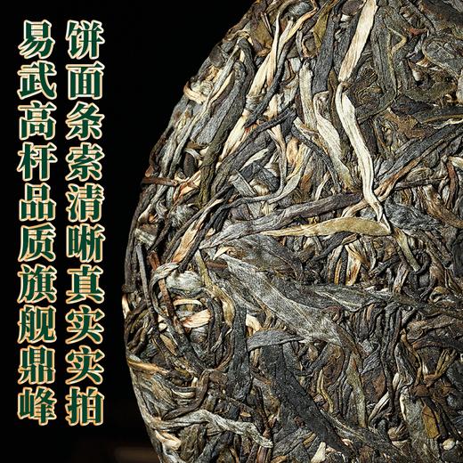 2023春茶 易武天门山古800古树头春茶普洱茶生茶357g饼茶茶叶 商品图3