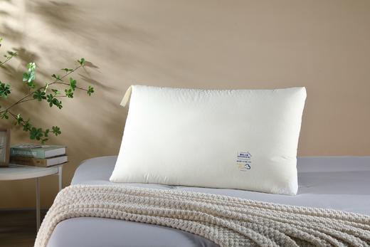 【远梦】舒睡水洗柔芯酒店枕 商品图0