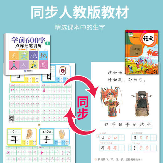 【写好汉字，从幼儿开始】学前识汉字描红本幼小衔接笔画笔顺字帖幼儿园控笔训练 商品图4