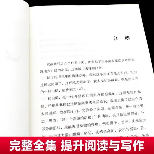 四年级下册必读的课外书4 正版全套15册宝葫芦的秘密张天翼白鹅丰子恺巨人的花园芦花鞋曹文轩乡下人家老师推荐书目小学生阅读书籍 商品图4