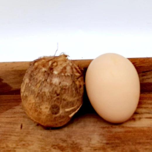 鸡蛋芋头·云南农友雪梅 商品图3