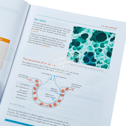 【中商原版】NEW Cambridge Lower Secondary Science Learner's Book 8剑桥初中科学学生书八年级初二 商品图3