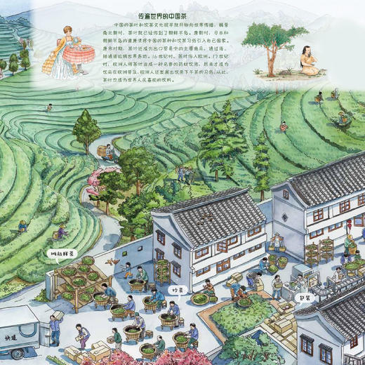 《丰收：献给孩子的农耕文明画卷》 商品图6