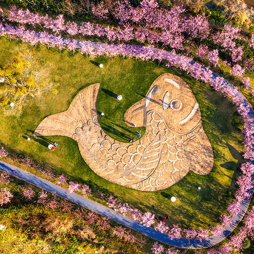福建鲤鱼洲酒店-赏花/观鸟/国宾馆探索之旅 商品图1