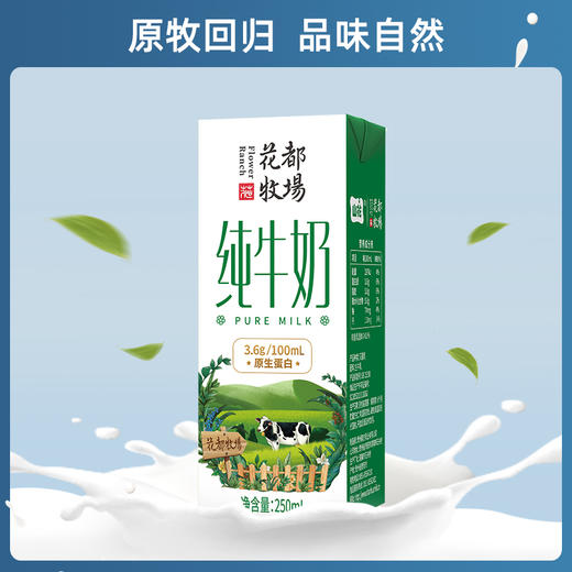 【分销专属】贵州特产山花花都牧场纯牛奶250ml*12盒整箱装 商品图5