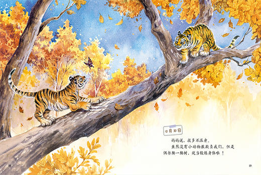 《小老虎的日记》中少阳光图书馆 我的日记系列 绘本   适读年龄4-7岁 商品图5