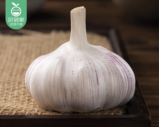 山东紫皮蒜头（500g±50g/份） 商品图3