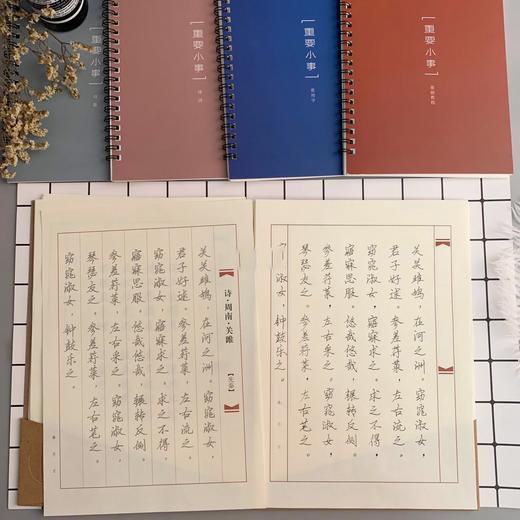 齐彩凹槽练字帖全套C9501 商品图4