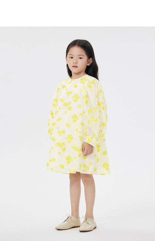 jnby  23年春款  提花袖笼宽松长袖连衣裙  1N3G14150 商品图4