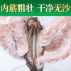 优选|即食精品米刺海参  8-12头 免泡发  肉厚肥美 内筋粗壮 Q弹有韧劲  500g/袋 商品缩略图4