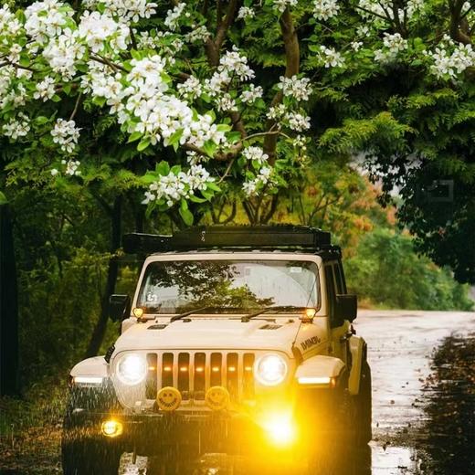 【春暖大地-梨花盛开】穿越秘境党岭，牛背山，莫斯卡，牛肝马肺 商品图0