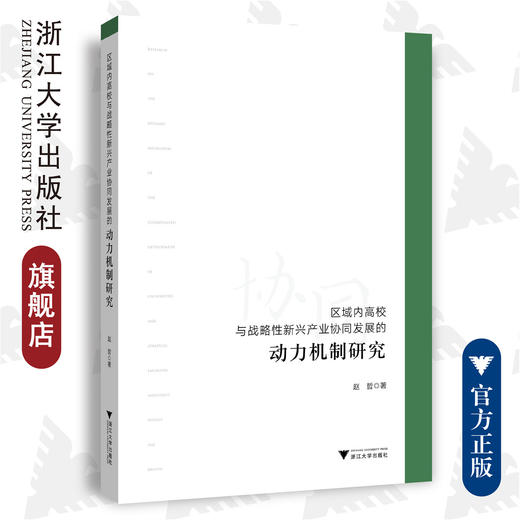 区域内高校与战略性新兴产业协同发展的动力机制研究/赵哲/浙江大学出版社 商品图0