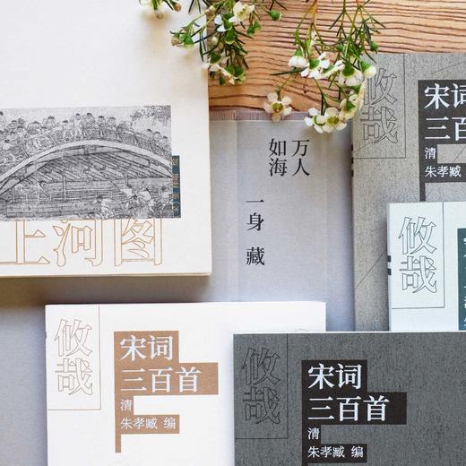 攸哉：宋词三百首——[清]朱孝臧 编 北京联合出版公司 宋词典藏藏本 商品图3