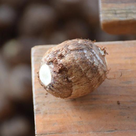 鸡蛋芋头·云南农友雪梅 商品图0