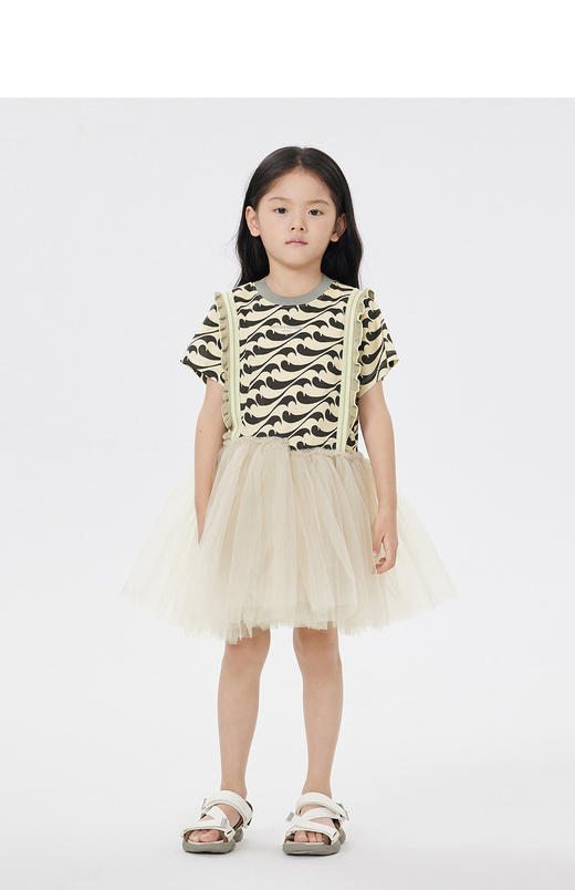 jnby  23年春款  原创图案网纱短袖连衣裙  1N3G14920 商品图4