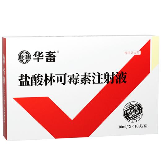 华畜兽用 10%盐酸林可霉素主射液10支 商品图4