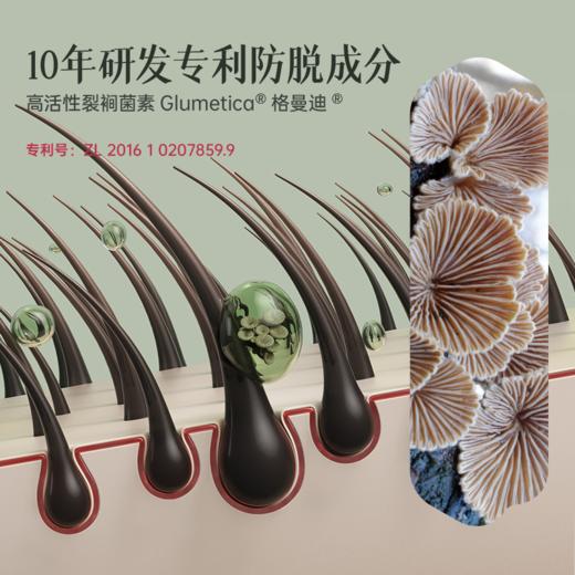 【荷馨】防脱育发洗发露 商品图2