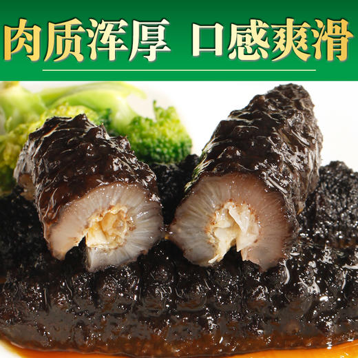 优选|即食精品米刺海参  8-12头 免泡发  肉厚肥美 内筋粗壮 Q弹有韧劲  500g/袋 商品图3