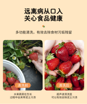 【捷博】超声波多功能果蔬清洗篮