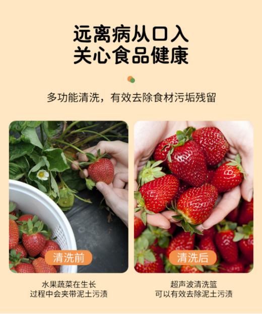 【捷博】超声波多功能果蔬清洗篮 商品图0