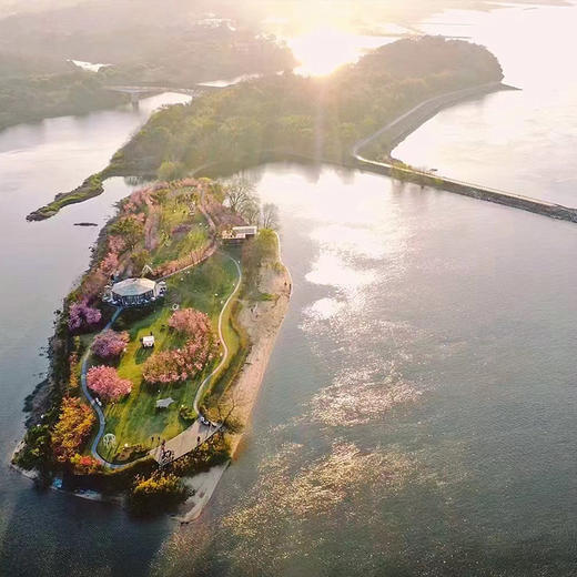 福建鲤鱼洲酒店-赏花/观鸟/国宾馆探索之旅 商品图4