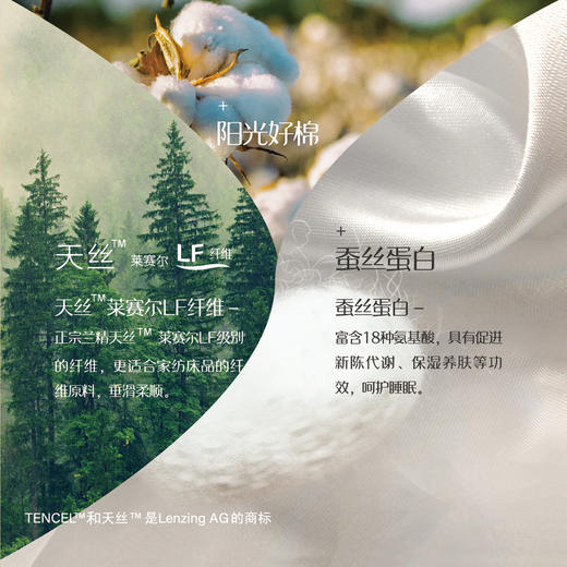 自然醒轻奢LF级进口兰精天丝棉四件套丝绸缎被套蚕丝棉床单丝滑夏季金太阳床品礼盒装KY 商品图8