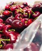 缤纷巧克力（应季水果装饰） 商品缩略图3