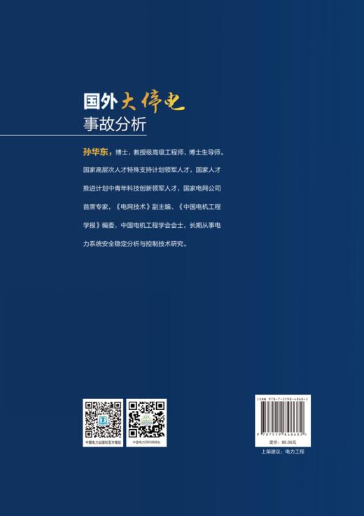 国外大停电事故分析 商品图2
