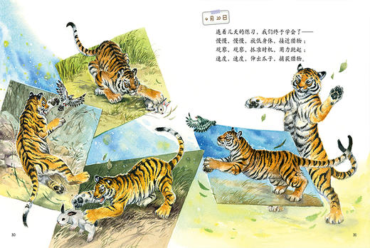 《小老虎的日记》中少阳光图书馆 我的日记系列 绘本   适读年龄4-7岁 商品图7