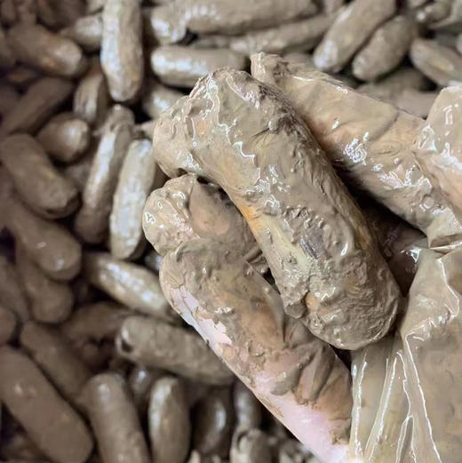 〔象山码头直发包邮17〕码头海鲜野生梭子蟹/鲳鱼/带鱼/深海黄鱼/野生花蛤/海钓鲷鱼/红膏青蟹/芒种虾皮/带膏小管/泥蛏子/斑节虾/翡翠鲍鱼/章鱼/琵琶虾/皮皮虾/小船红虾/墨鱼干 商品图11