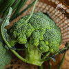 生态西兰花、花椰菜  |合作生产* Ecological Broccoli | Coproduction 商品缩略图0