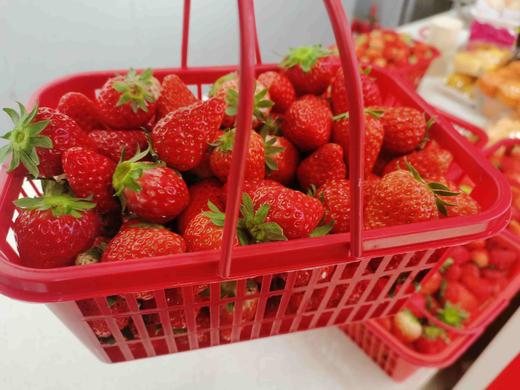 【女神节专享】19.9元/筐3斤红颜草莓小果 商品图0