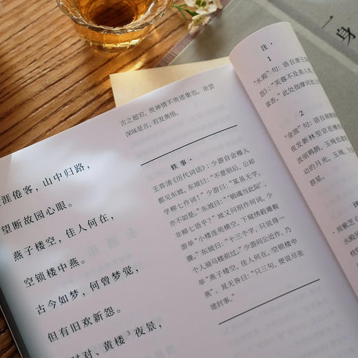 攸哉：宋词三百首——[清]朱孝臧 编 北京联合出版公司 宋词典藏藏本 商品图4