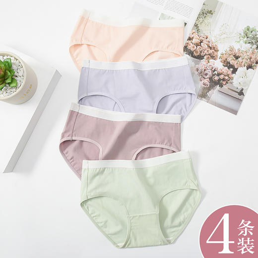 洁丽雅4条装中腰纯棉女士内裤简约舒适双层纯棉内裆内裤女 商品图8