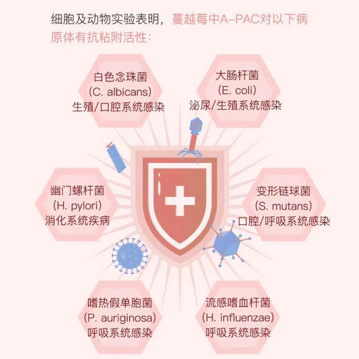 HB 荷柏瑞 蔓越莓提取片400mg 60片/瓶（偏远地区不包邮） 商品图5