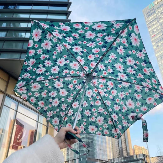 英国女王撑了一辈子的伞 | 英国原装进口富尔顿FULTON晴雨两用伞（多款可选） 商品图4