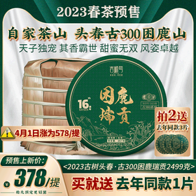 第二波春茶预售上新啦