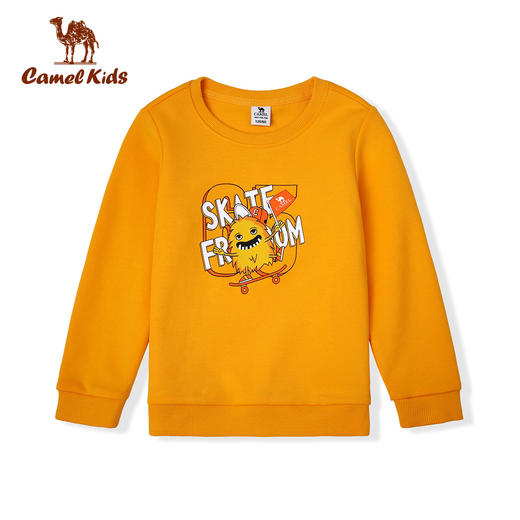 小骆驼儿童卫衣宝宝春装2025新款男女童运动上衣童装长袖儿童T恤 SJ42234300 商品图0