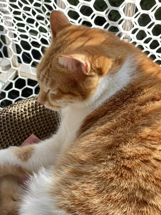 试驾卡券批改 商品图0