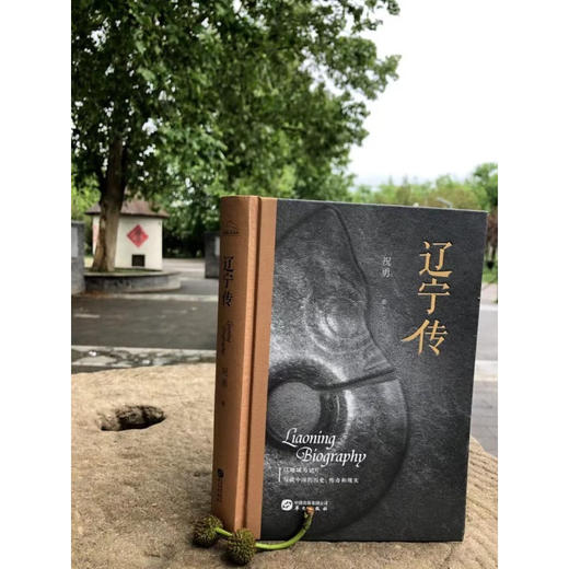 辽宁传 商品图1