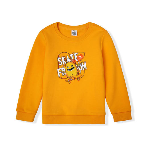 小骆驼儿童卫衣宝宝春装2025新款男女童运动上衣童装长袖儿童T恤 SJ42234300 商品图4