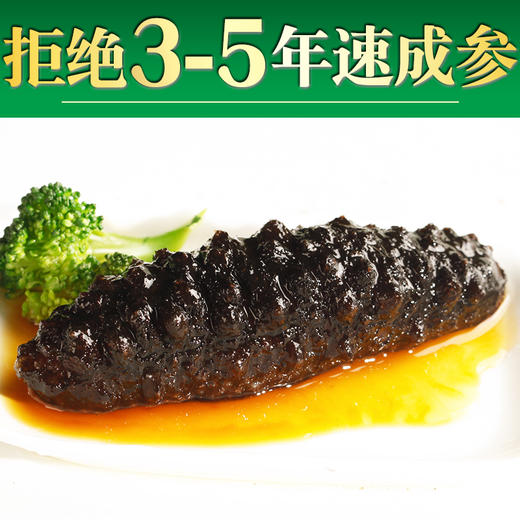 优选|即食精品米刺海参  8-12头 免泡发  肉厚肥美 内筋粗壮 Q弹有韧劲  500g/袋 商品图2