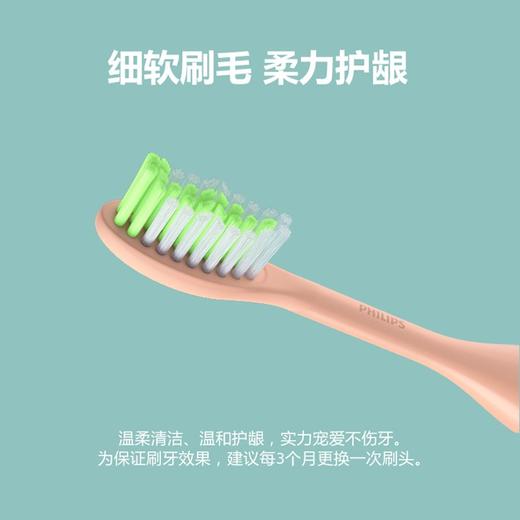 飞利浦 Sonicare1000系列充电版电动牙刷  HY1200 商品图6