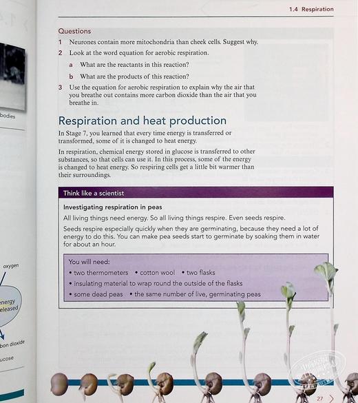 【中商原版】NEW Cambridge Lower Secondary Science Learner's Book 8剑桥初中科学学生书八年级初二 商品图6