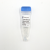 Taq HS DNA Polymerase (Glycerol-free) 商品缩略图0