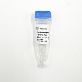 Taq HS DNA Polymerase (Glycerol-free) 商品图0