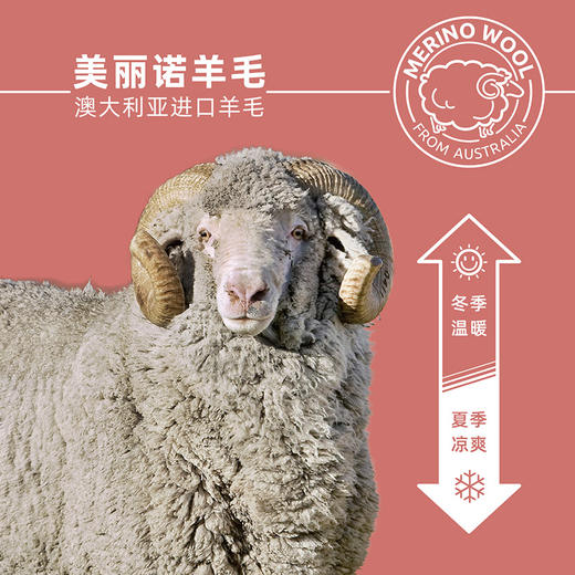 赛乐ZEALWOOD檐鸭舌帽五片帽男女纯色羊毛帽子新款时尚显脸小棒球帽 商品图4